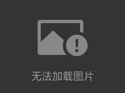 Palas粒徑譜